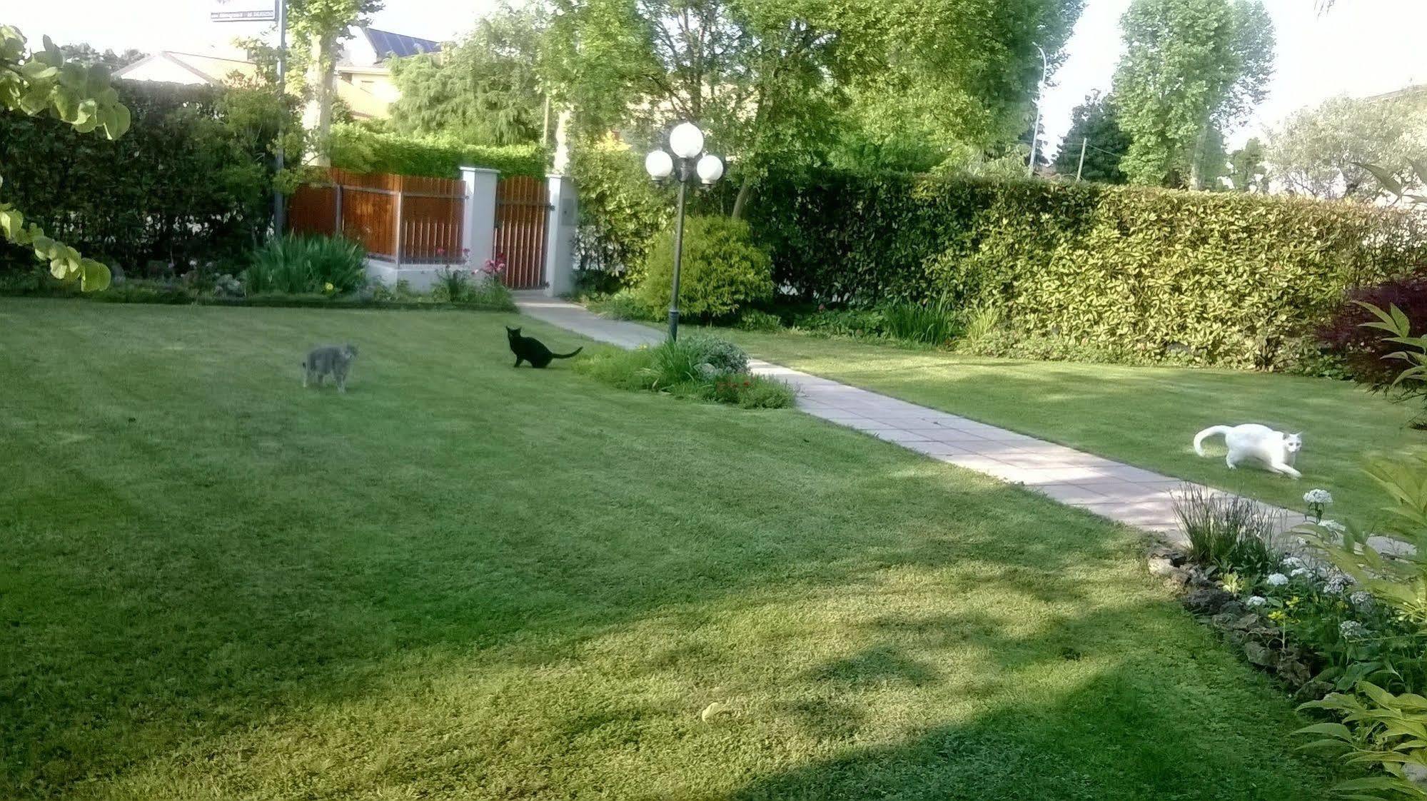 B&B Le Tre Grazie San Martino di Lupari Dış mekan fotoğraf